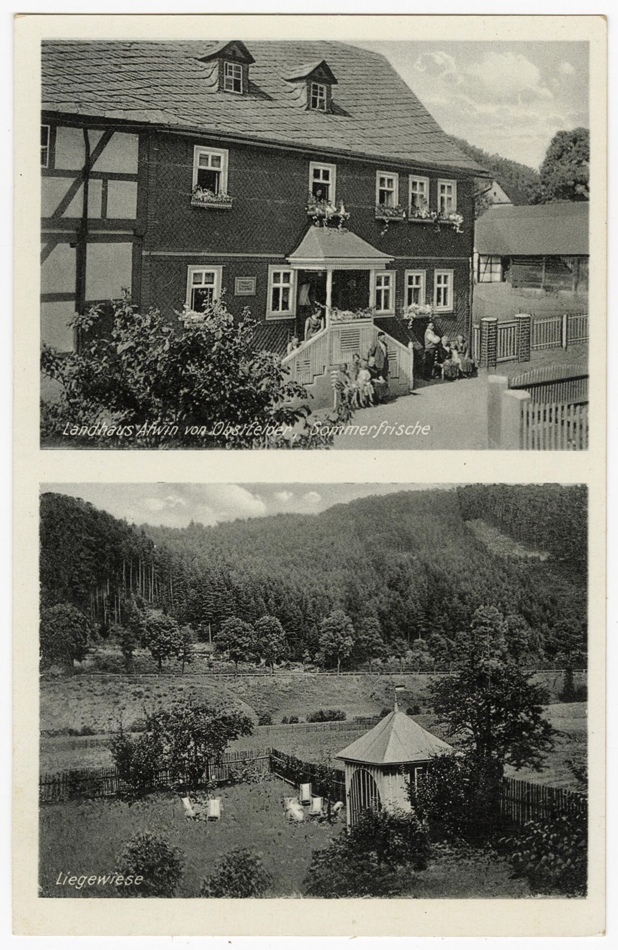 TURTLE Dachreling Für Mercedes Viano W639 (2003-2014) - Schwarz, 250kg Tragkraft